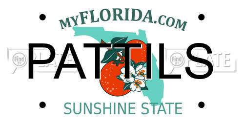 PATTILS Florida License Plate
