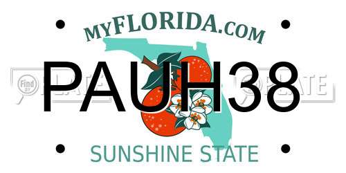 PAUH38 Florida License Plate