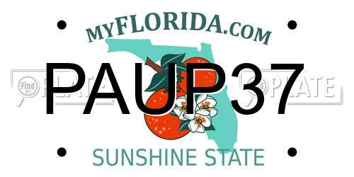 PAUP37 Florida License Plate