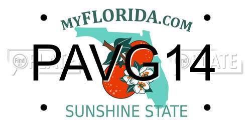 PAVG14 Florida License Plate