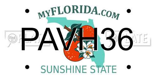 PAVH36 Florida License Plate