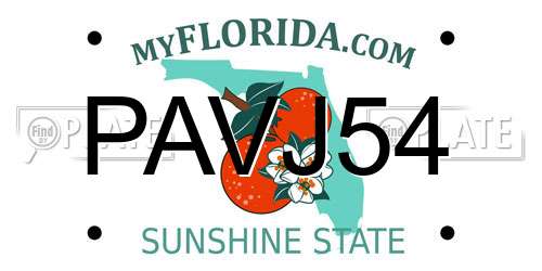 PAVJ54 Florida License Plate