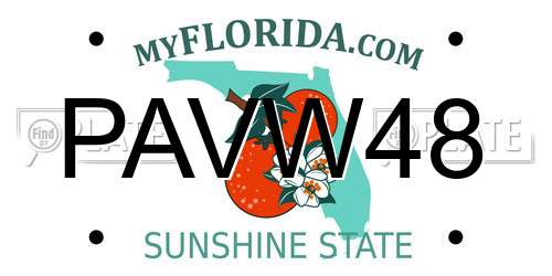 PAVW48 Florida License Plate
