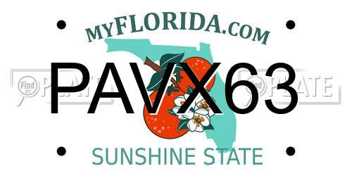 PAVX63 Florida License Plate