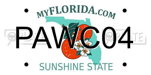 PAWC04 Florida License Plate