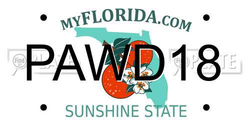 PAWD18 Florida License Plate
