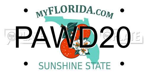 PAWD20 Florida License Plate