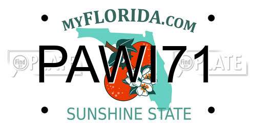 PAWI71 Florida License Plate