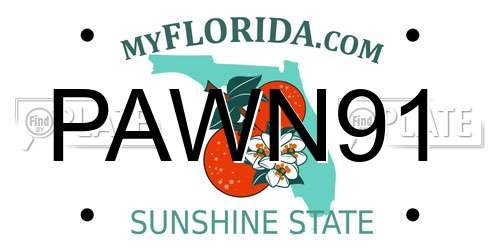 PAWN91 Florida License Plate