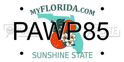 PAWP85 Florida License Plate