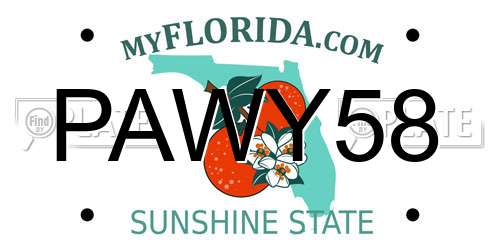 PAWY58 Florida License Plate