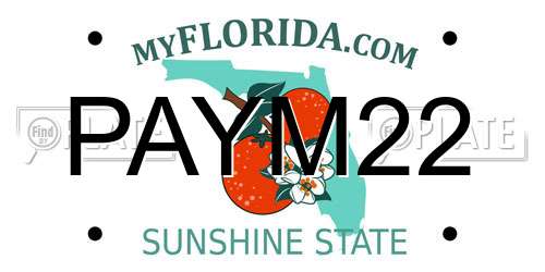 PAYM22 Florida License Plate