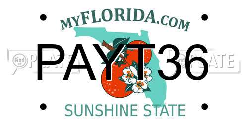 PAYT36 Florida License Plate