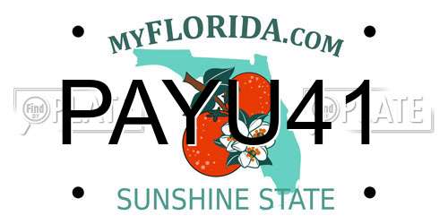 PAYU41 Florida License Plate
