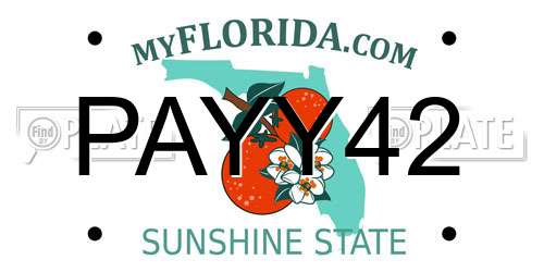 PAYY42 Florida License Plate