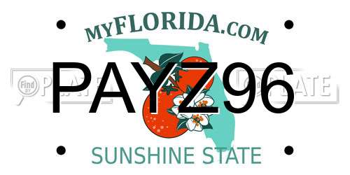 PAYZ96 Florida License Plate