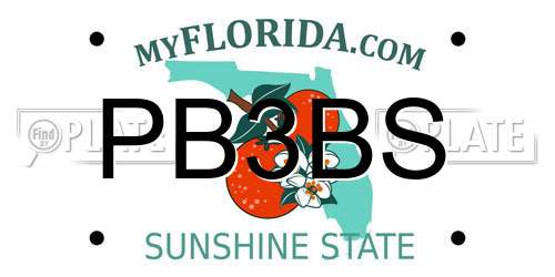 PB3BS Florida License Plate