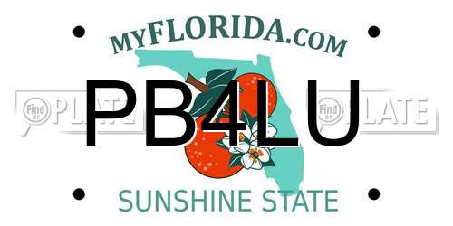 PB4LU Florida License Plate