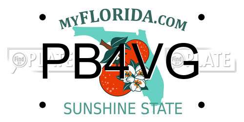 PB4VG Florida License Plate