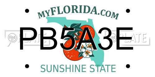 PB5A3E Florida License Plate