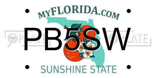 PB5SW Florida License Plate