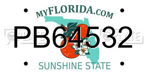 PB64532 Florida License Plate