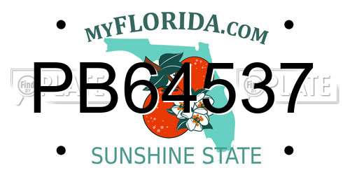 PB64537 Florida License Plate