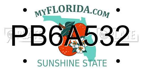 PB6A532 Florida License Plate