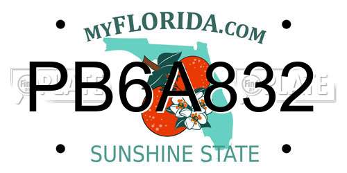PB6A832 Florida License Plate