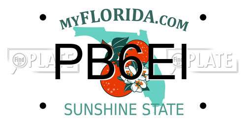 PB6EI Florida License Plate