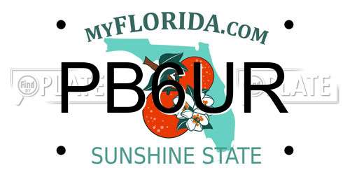PB6UR Florida License Plate