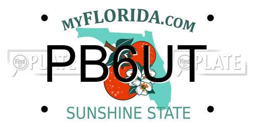 PB6UT Florida License Plate
