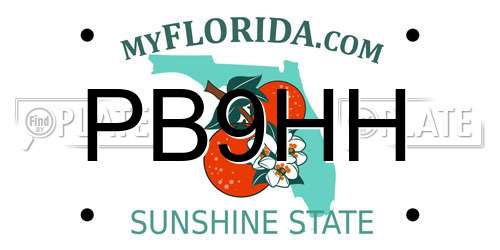 PB9HH Florida License Plate