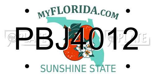 PBJ4012 Florida License Plate