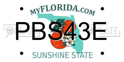 PBS43E Florida License Plate