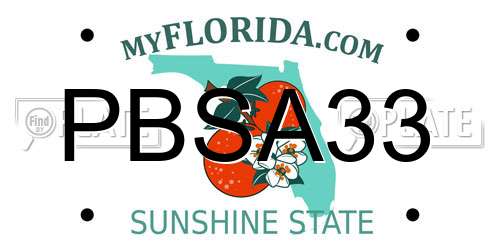 PBSA33 Florida License Plate