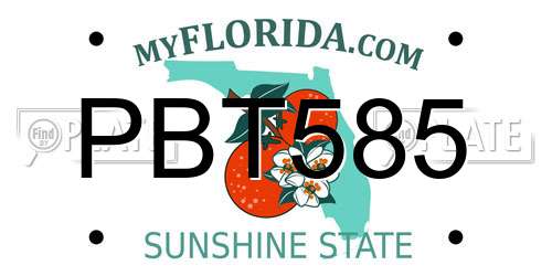 PBT585 Florida License Plate