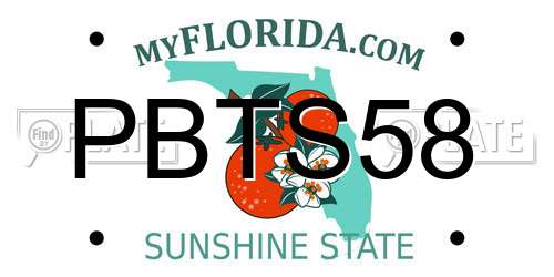 PBTS58 Florida License Plate