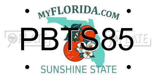 PBTS85 Florida License Plate