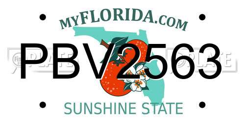 PBV2563 Florida License Plate