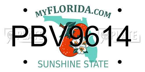 PBV9614 Florida License Plate