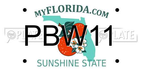 PBW11 Florida License Plate