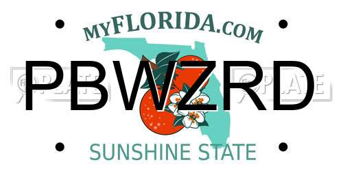 PBWZRD Florida License Plate