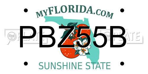 PBZ55B Florida License Plate