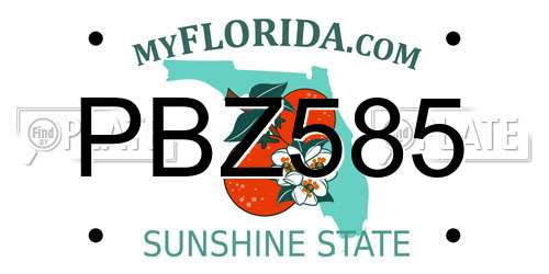 PBZ585 Florida License Plate