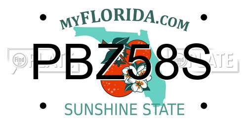 PBZ58S Florida License Plate