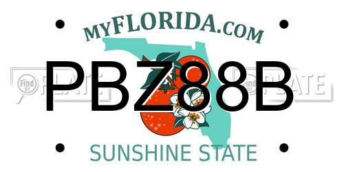 PBZ88B Florida License Plate