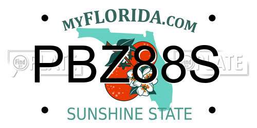 PBZ88S Florida License Plate
