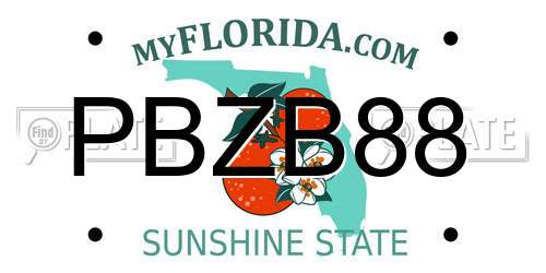 PBZB88 Florida License Plate