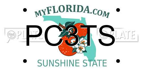 PC3TS Florida License Plate
